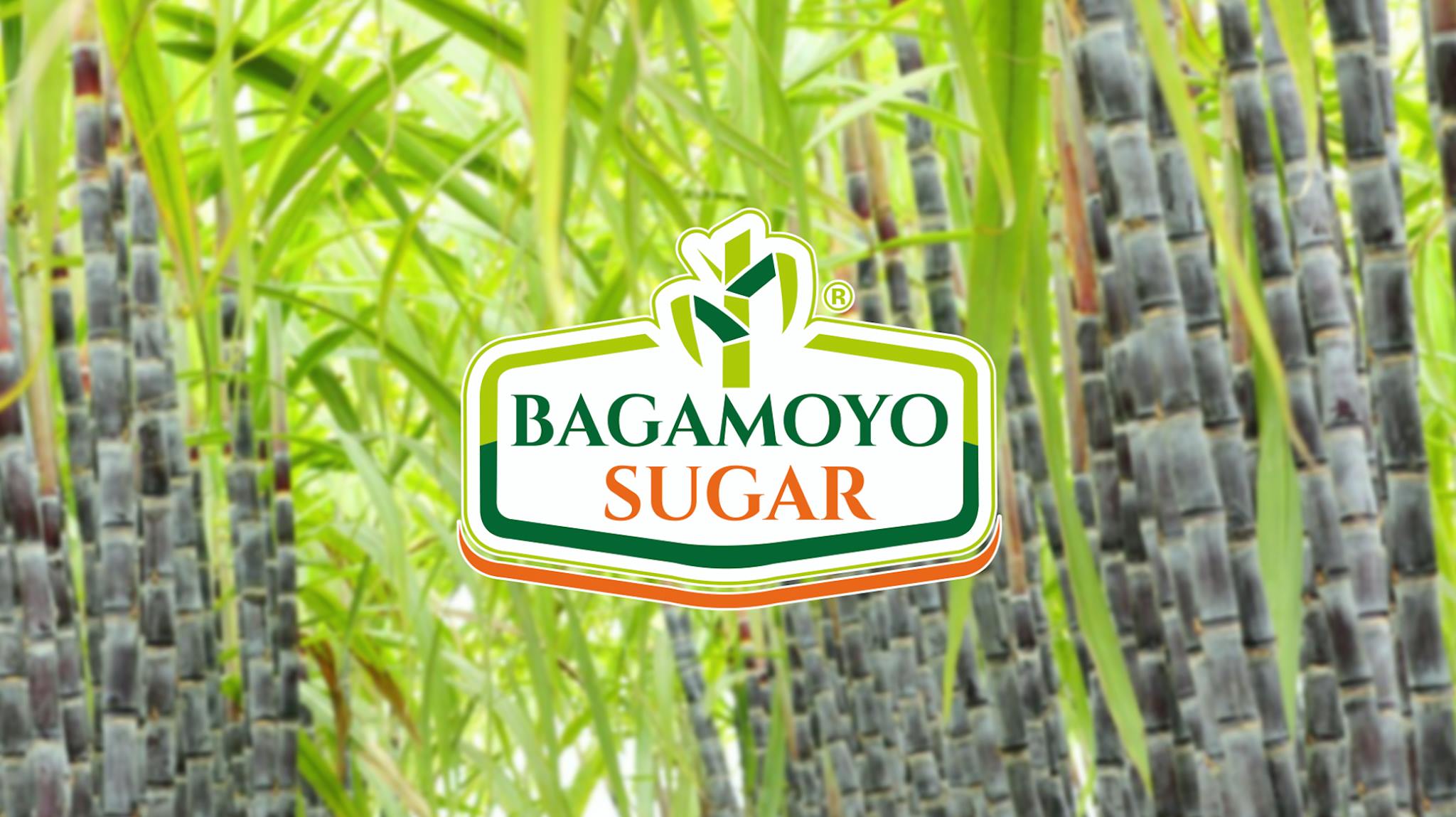 Read more about the article 21 New Bagamoyo Sugar Limited Vacancies