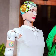 You are currently viewing The Advantages and Disadvantages of Robots like Eunice the Robot to Tanzania